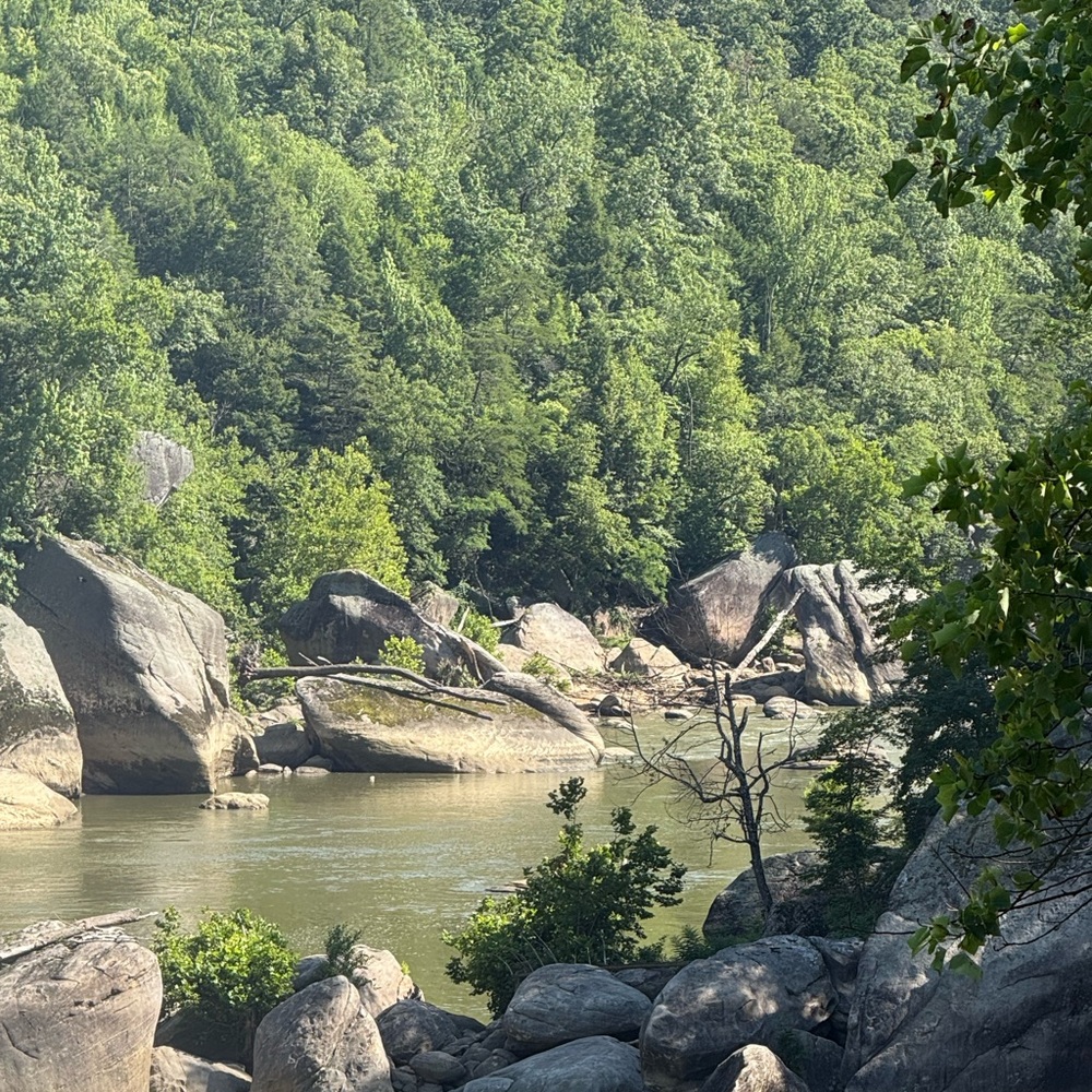 Meet your Posher, Carole